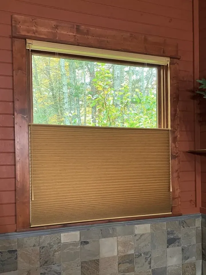 A window with wood trim features a brown pleated honeycomb shade covering the bottom half, revealing trees outside.