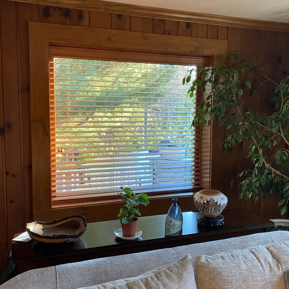 A view of a wooden window with blinds, a plant, and decorative pottery on a dark console table against wood paneling.