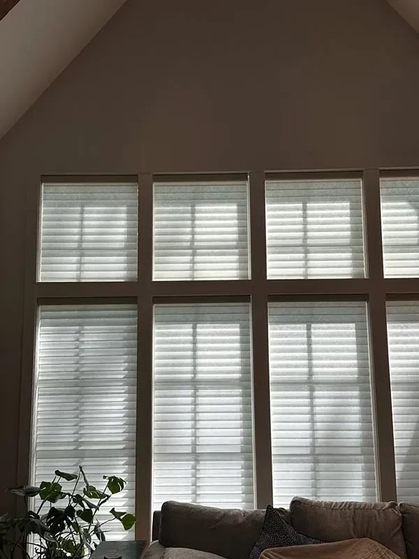 Large windows with horizontal blinds under a vaulted ceiling, with a plant and the top of a couch visible below.