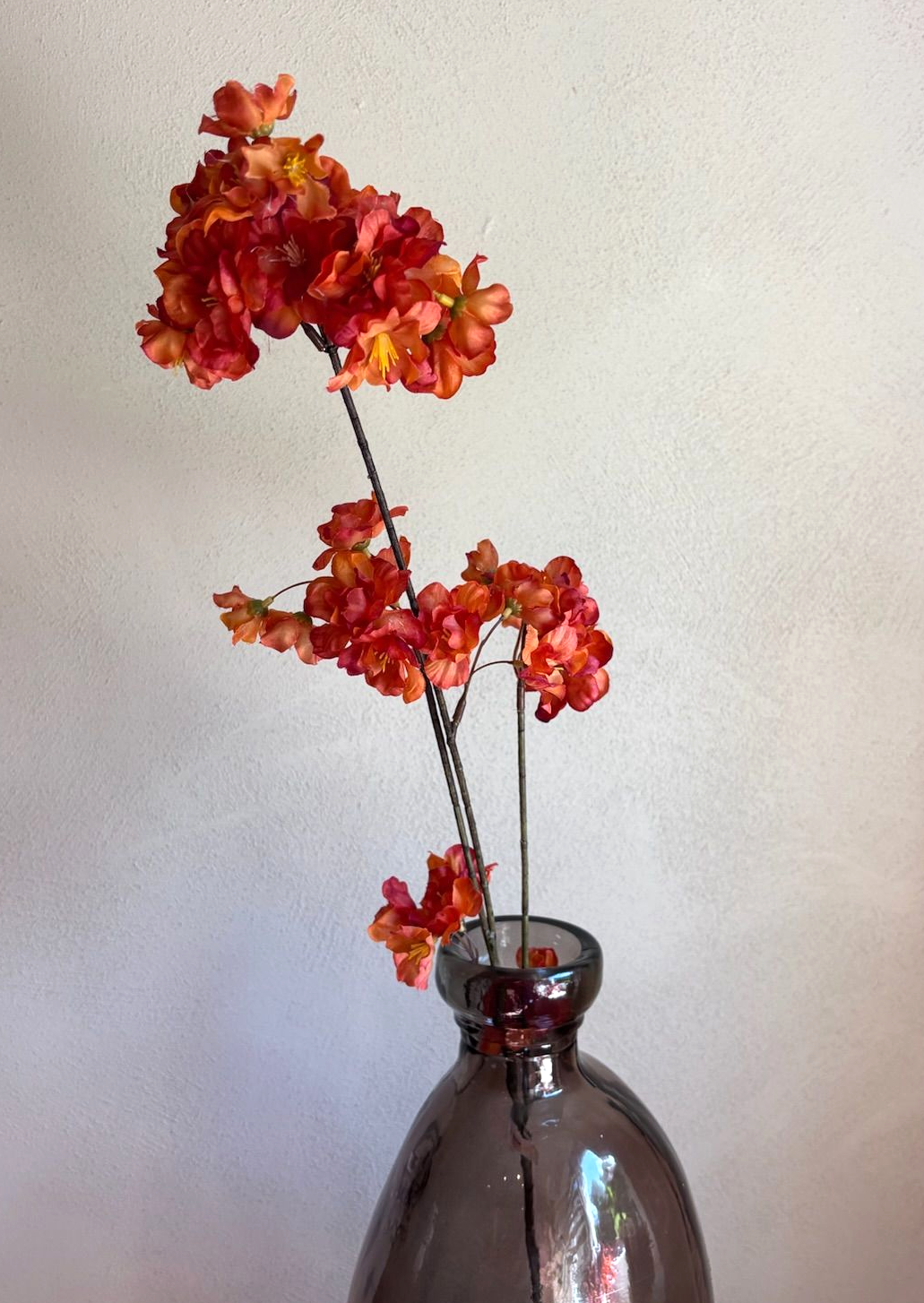 Bloesem Prunus tak