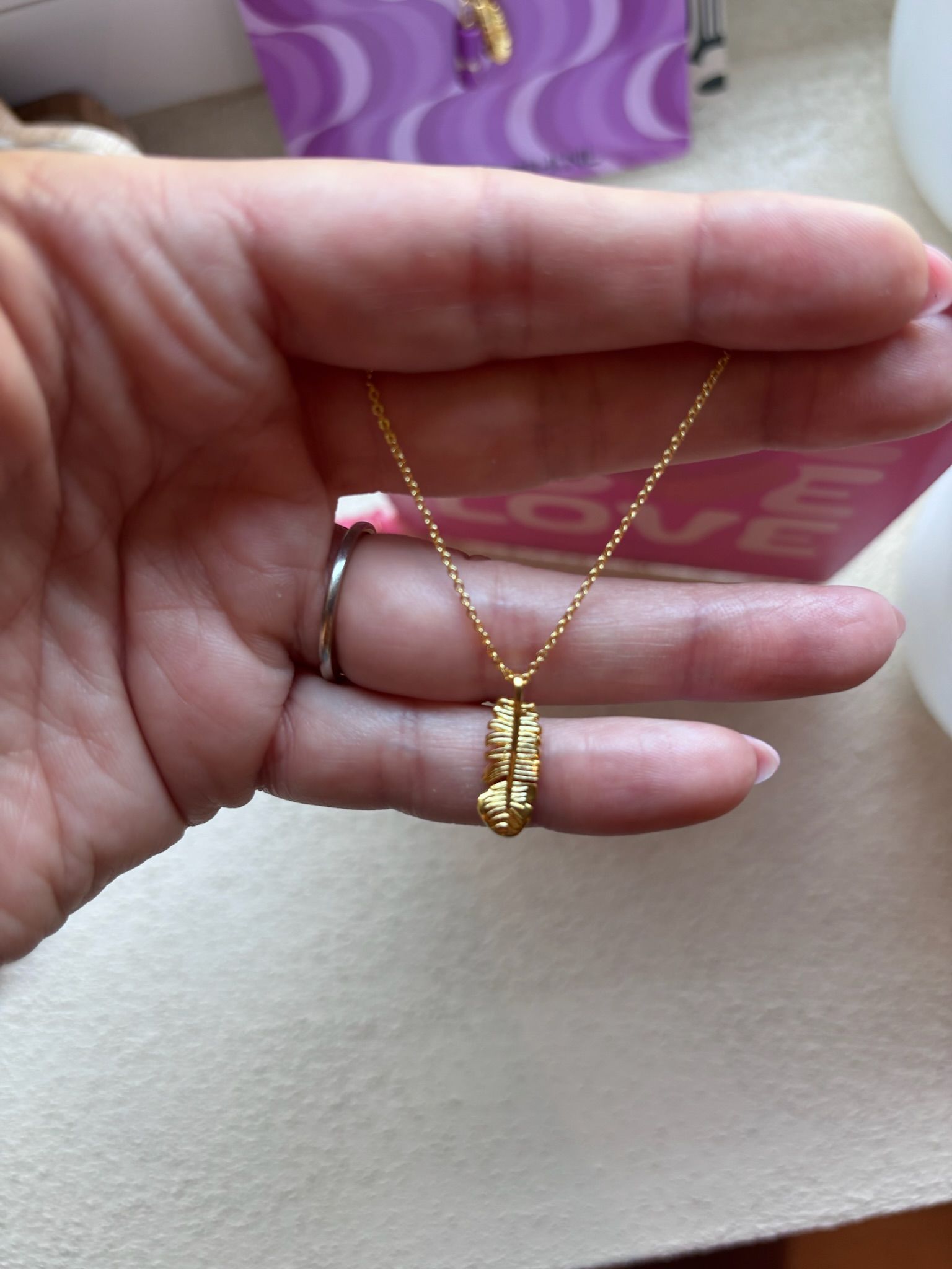 Ketting stainless steel met veertje