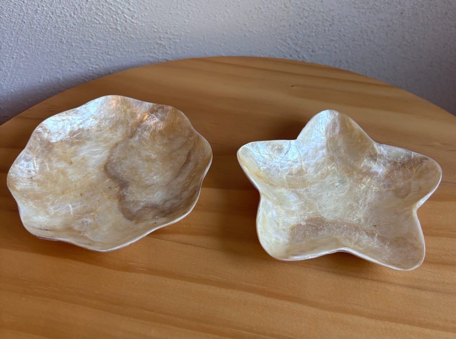 Capiz schelpenschaaltjes – Bloem & Ster