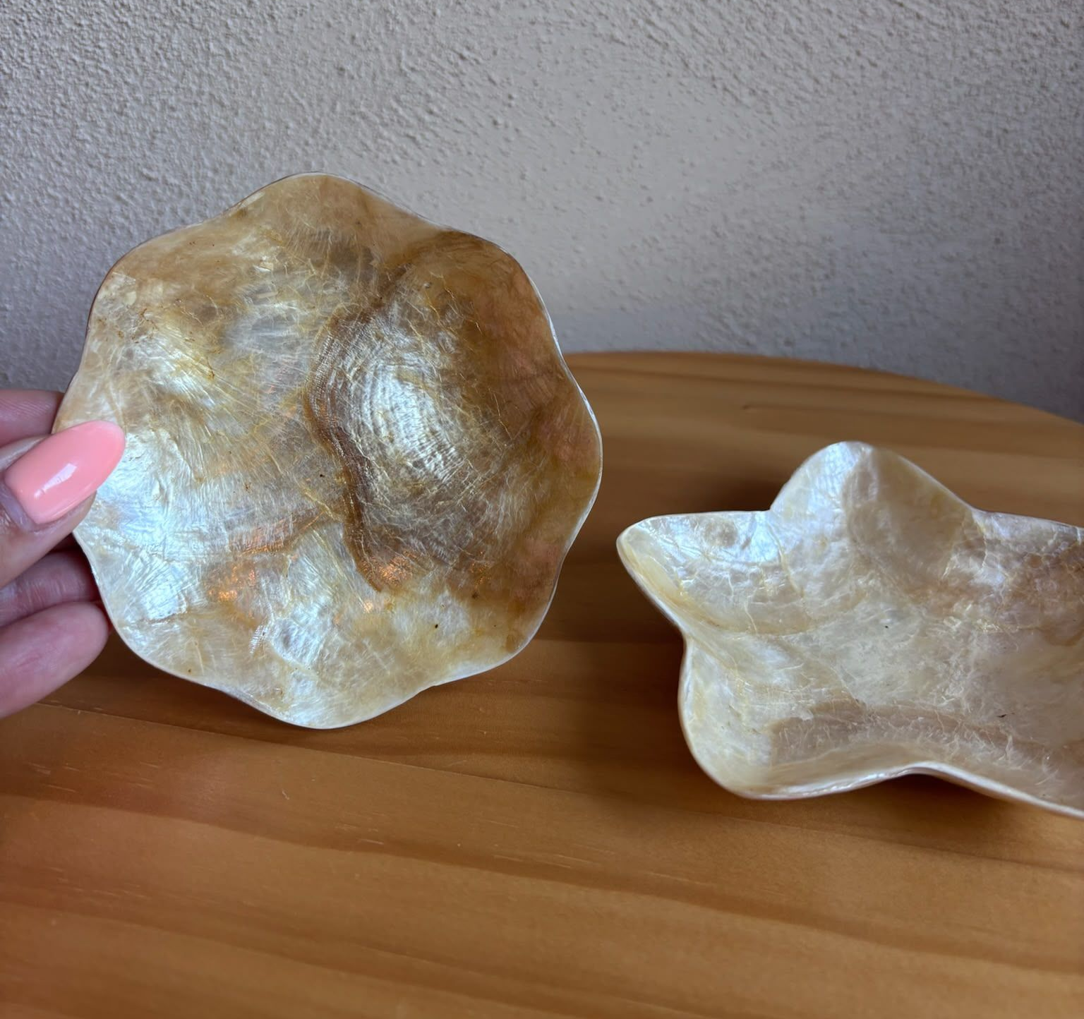 Capiz schelpenschaaltjes – Bloem & Ster