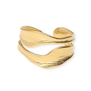 Stainless steel ring goud dubbel