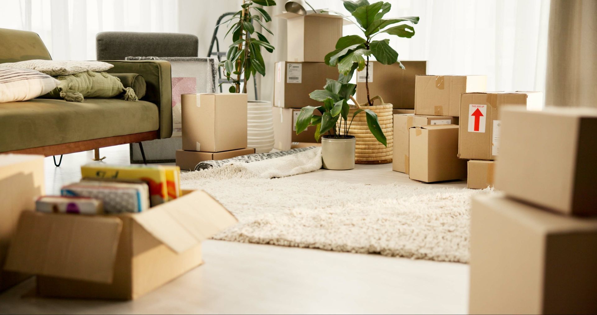 Cardboard boxes packed in a living room with plants and a couch, suggesting a recent move.