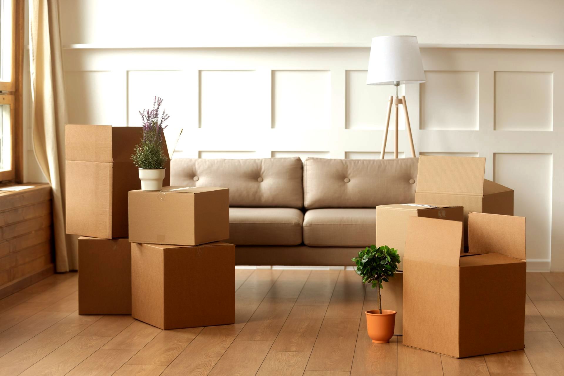 Living room with moving boxes, a beige sofa, and a floor lamp in a bright, tidy home setting