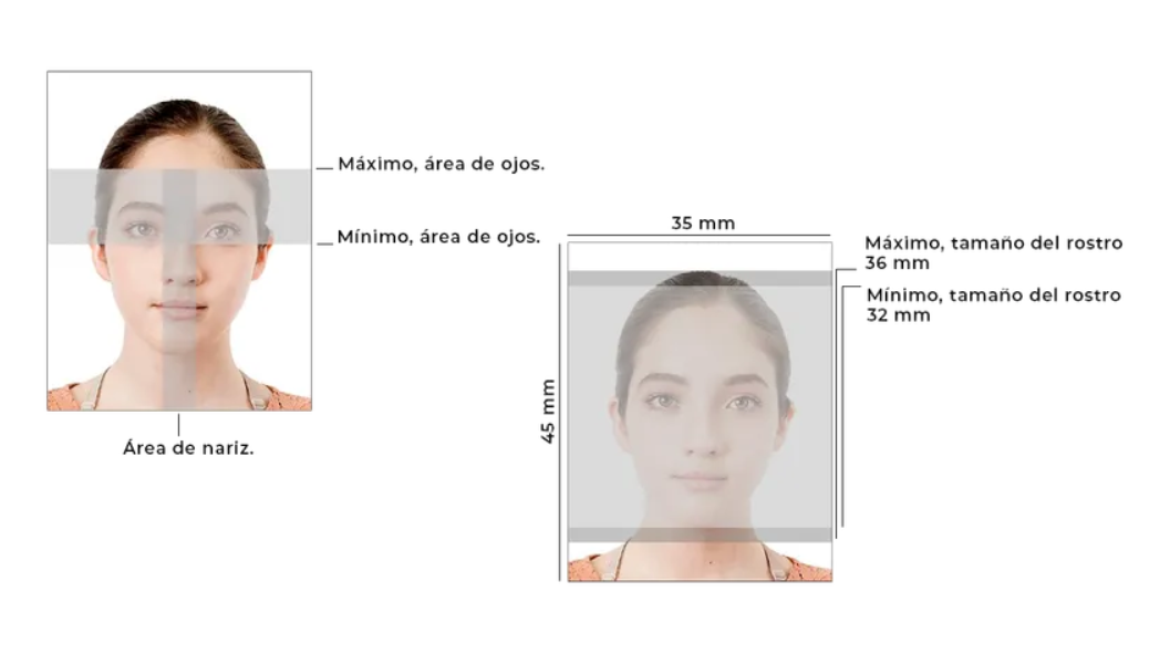 Diagrama que ilustra las dimensiones de la fotografía del pasaporte y la posición de la cabeza con el rostro de una mujer.
