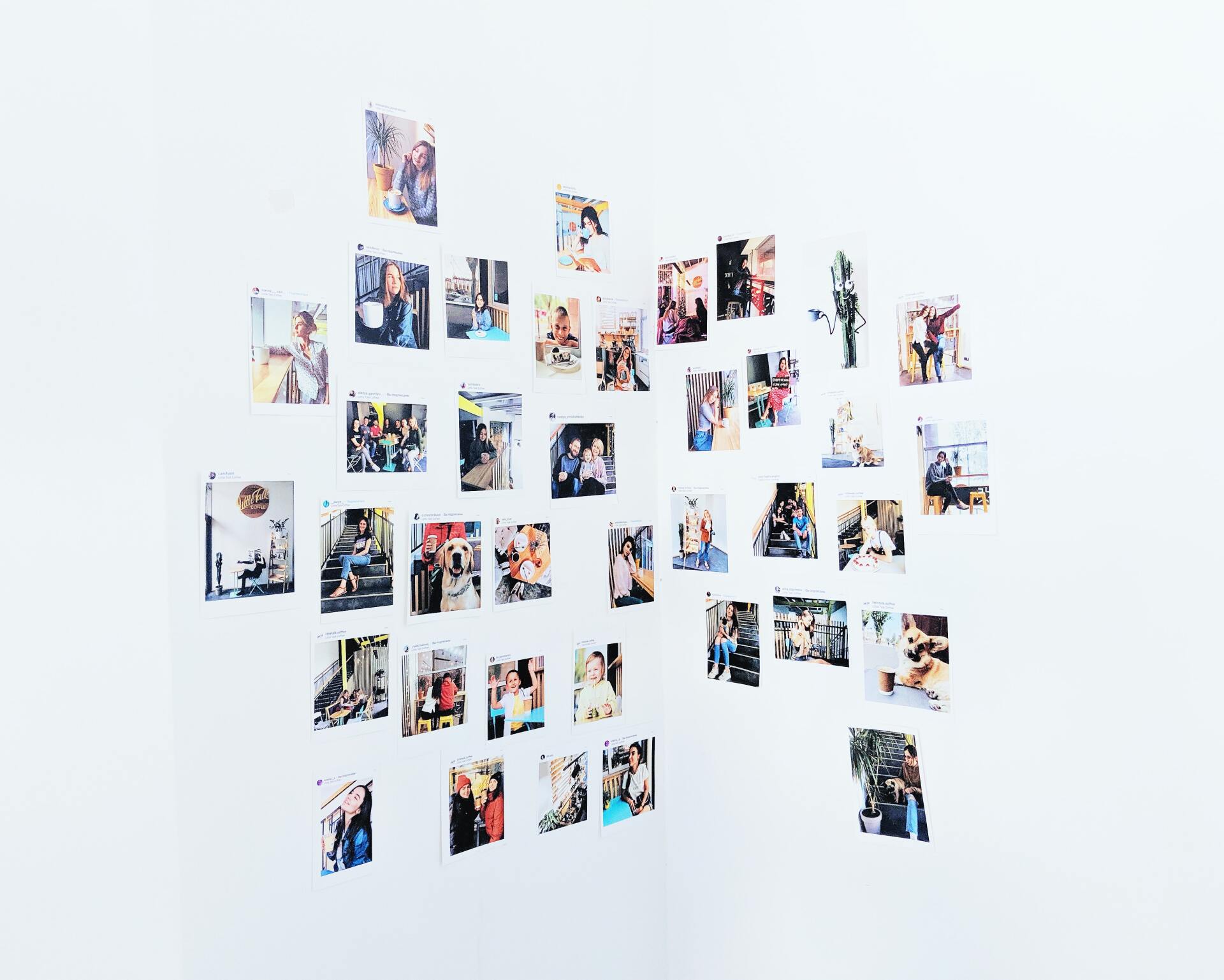 Fotos