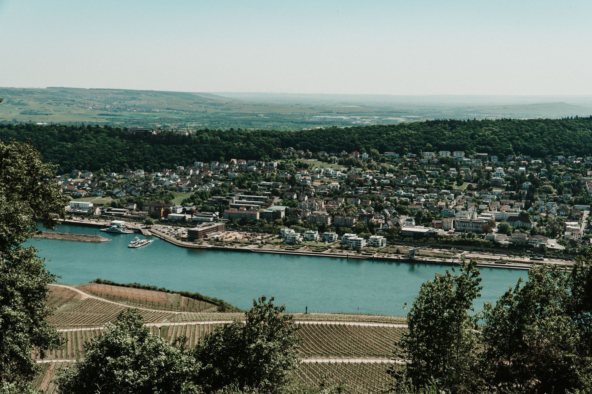 Rheinlandschaft und Weinberge rund um Rüdesheim