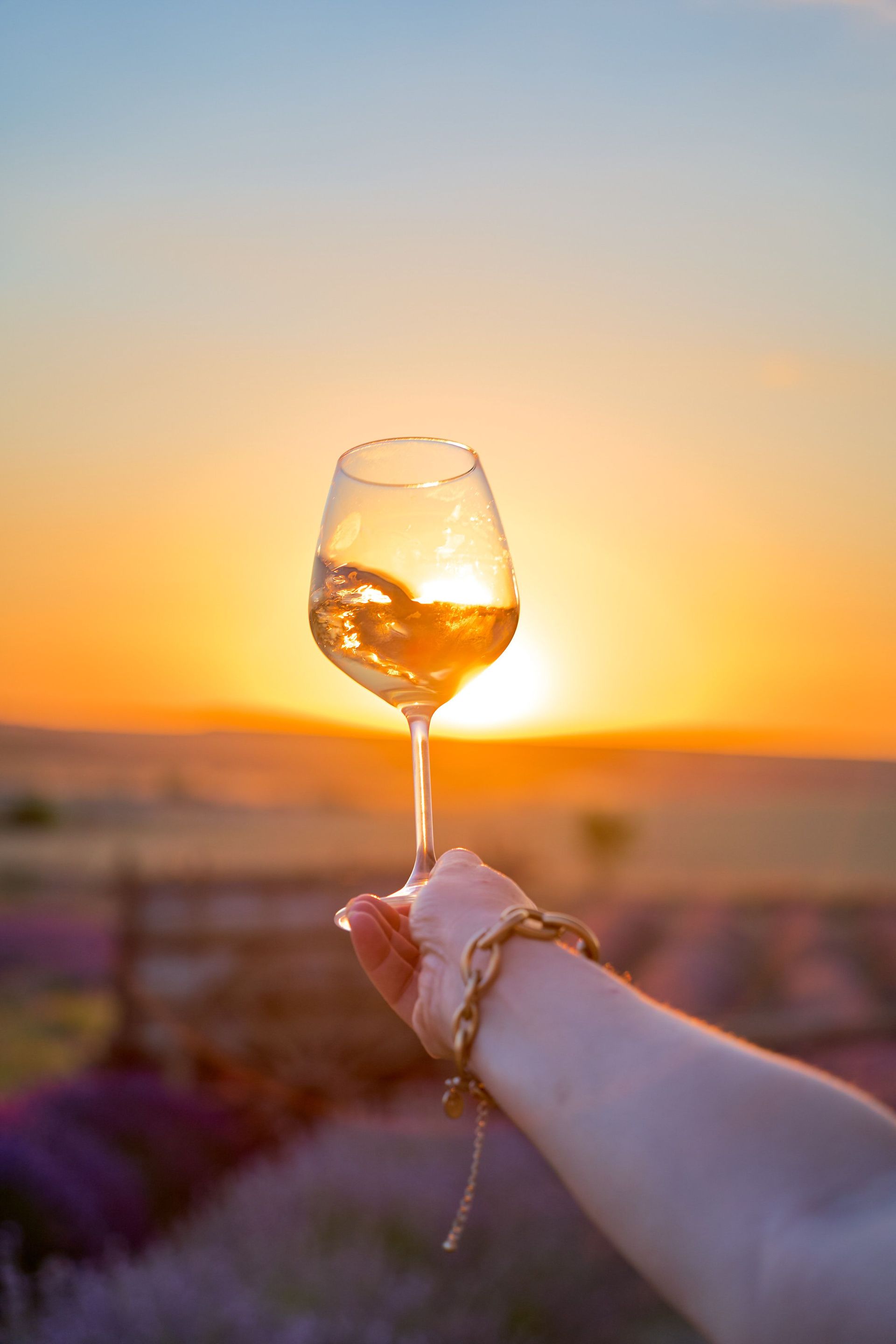 Weinglas in den Weinbergen bei Sonnenuntergang