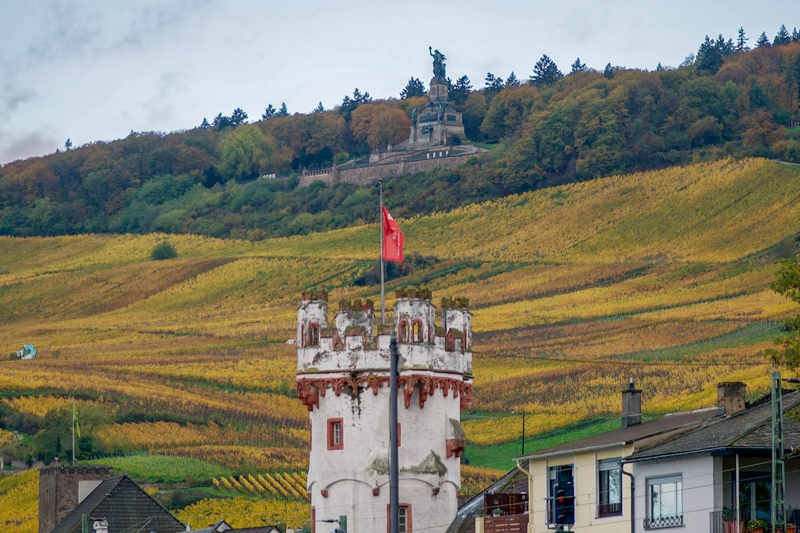 Goldene Weinberge über Rüdesheim am Rhein im Herbst mit Adlerturm und Niederwalddenkmal