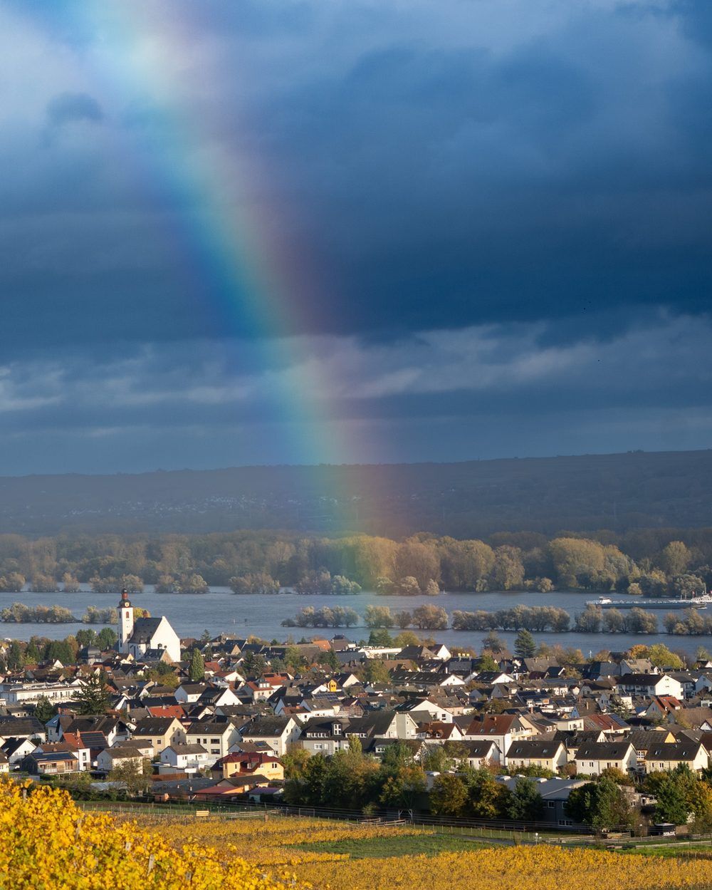 Regenbogen über Rüdesheim und den herbstlich gefärbten Weinbergen am Rhein