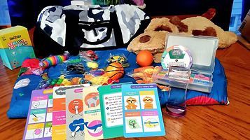 A collection of pet supplies, including toys, a bed, and health guides, on a blue blanket.