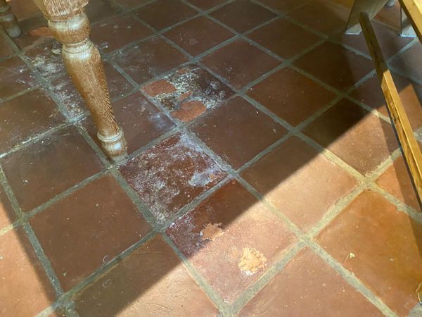 Terracotta Damage 4