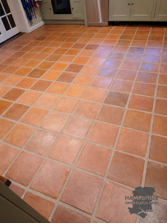 Terracotta Restoration Winchester
