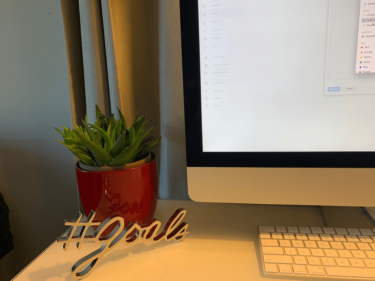 A desk with a plant, a