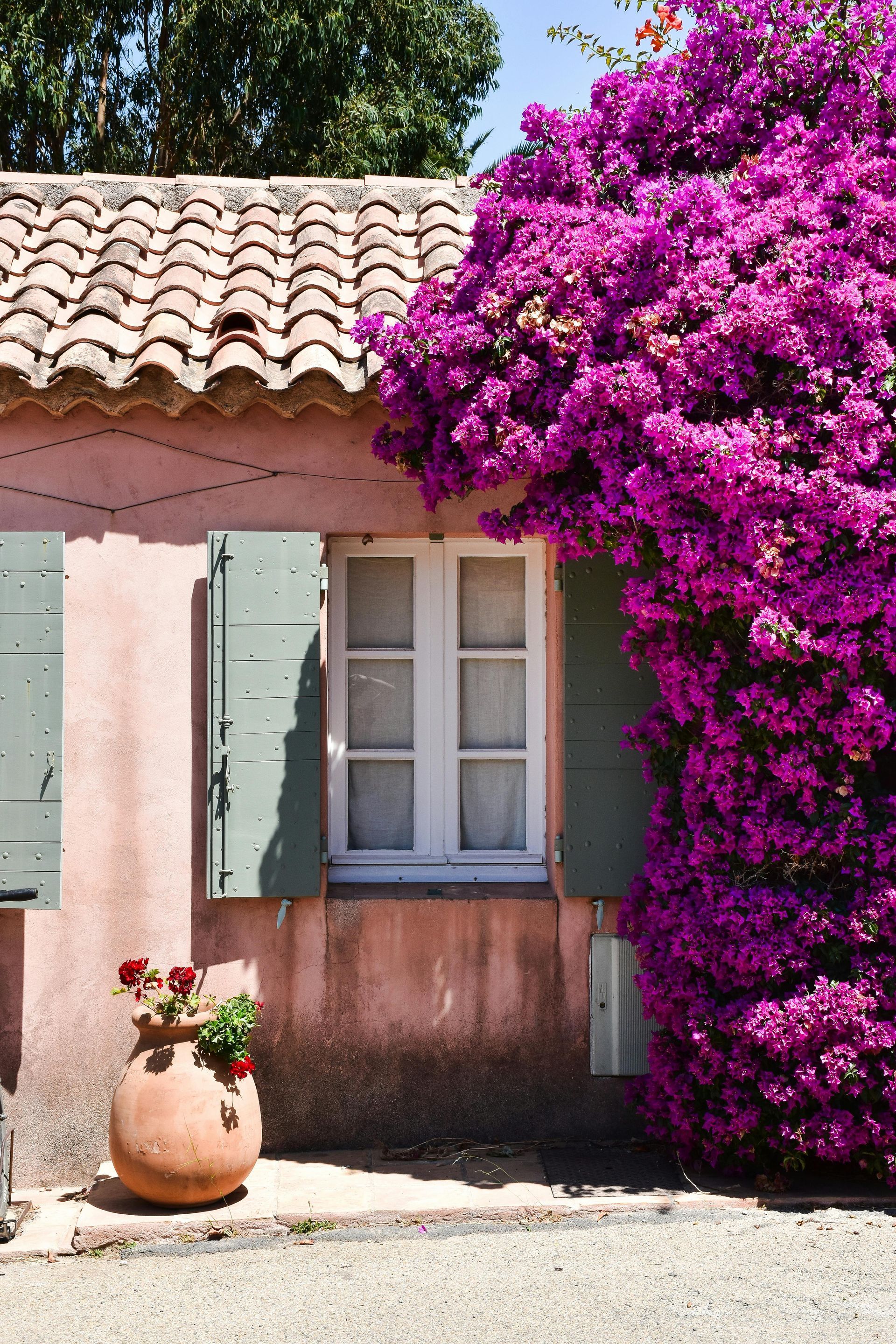 A house with purple flowers growing on the side of it