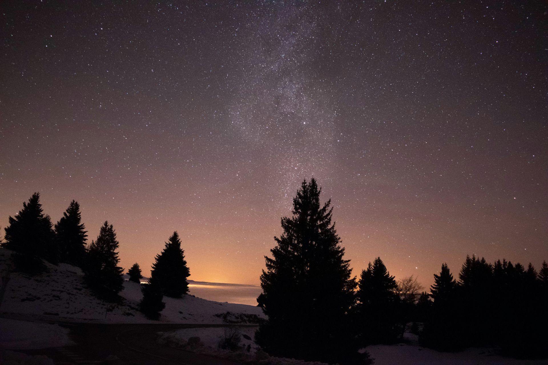 A starry night sky with trees in the foreground