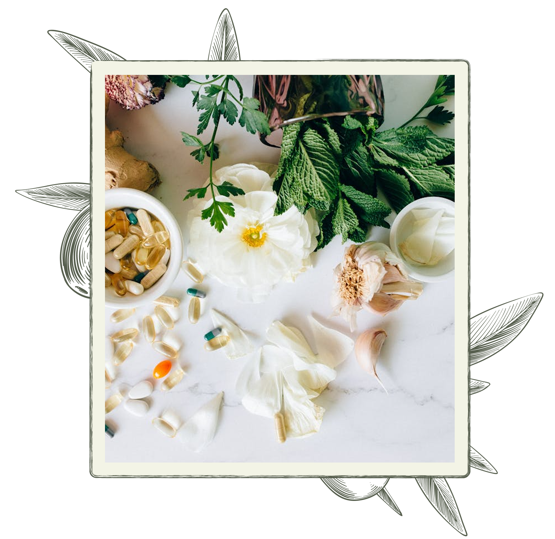 Various herbs, supplements, and flowers on a white marble surface.