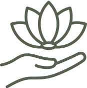Hand holding a lotus flower, outlined in green.