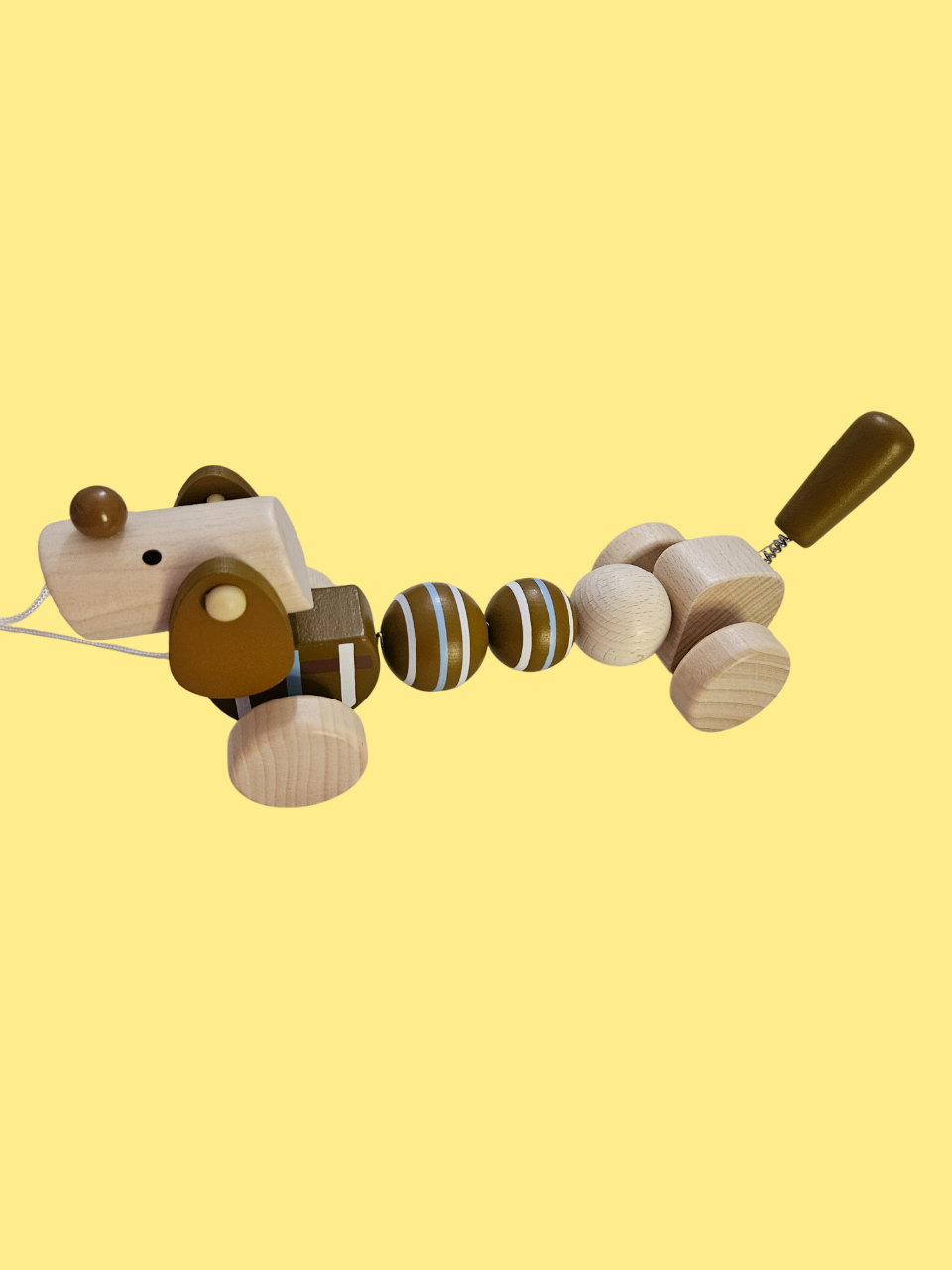 Perro Salchicha