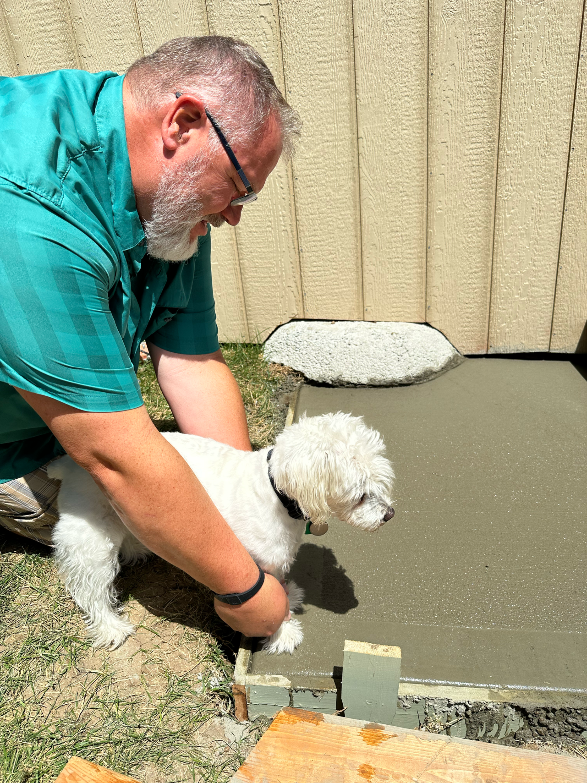 Man guiding white dog to step on wet concrete. The dog looks hesitant. Outdoors.
