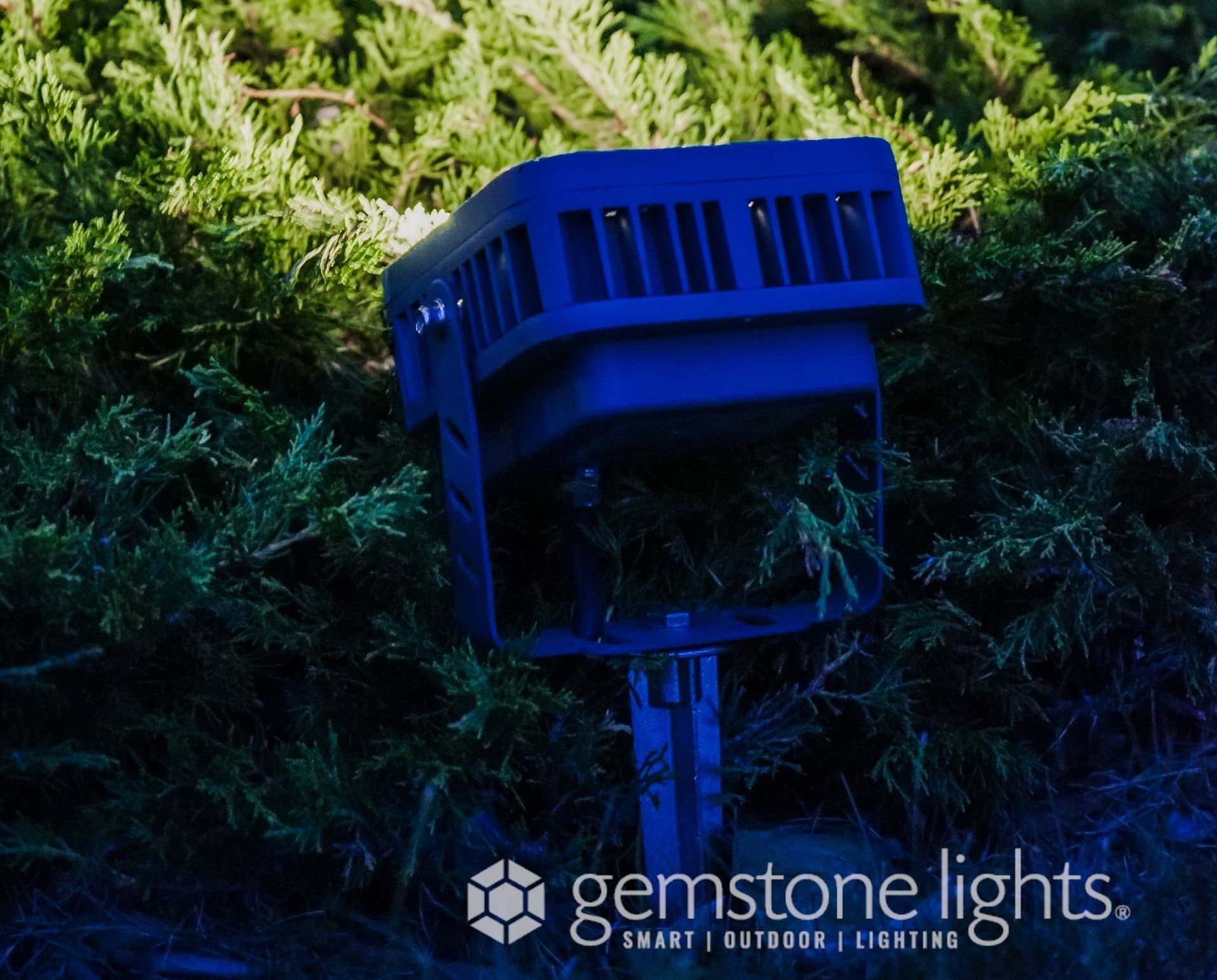 Gemstone Lights Flood Lights