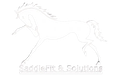Saddlery Services in Keene, NH | SaddleFit And Solutions Saddlery Services in Keene, NH | SaddleFit And Solutions