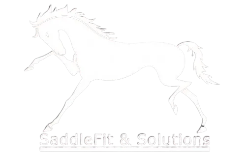 Saddlery Services in Keene, NH | SaddleFit And Solutions Saddlery Services in Keene, NH | SaddleFit And Solutions