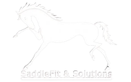 Saddlery Services in Keene, NH | SaddleFit And Solutions Saddlery Services in Keene, NH | SaddleFit And Solutions