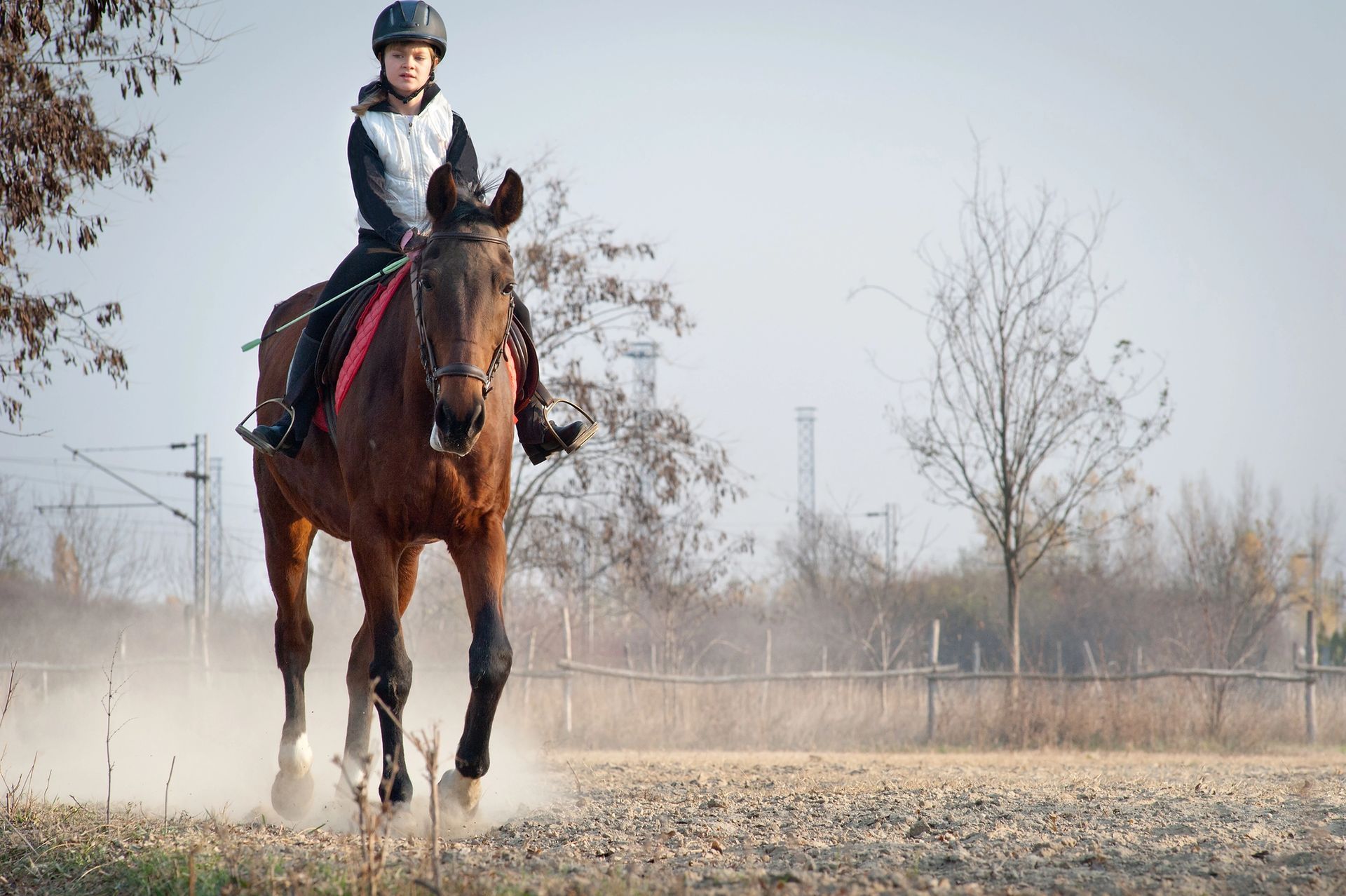 Saddle Evaluations in Keene, NH