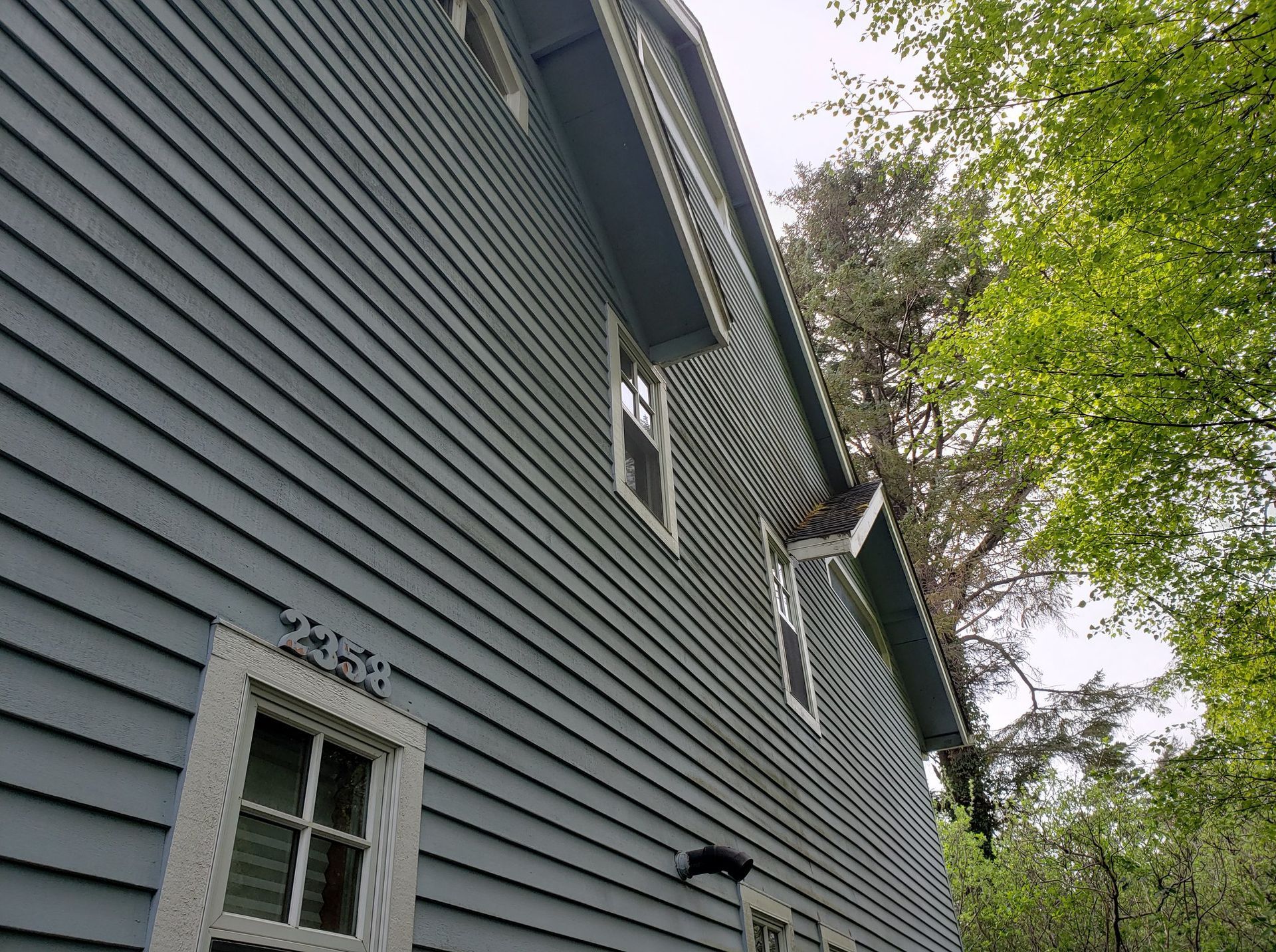 A large house with a lot of windows is surrounded by trees.
