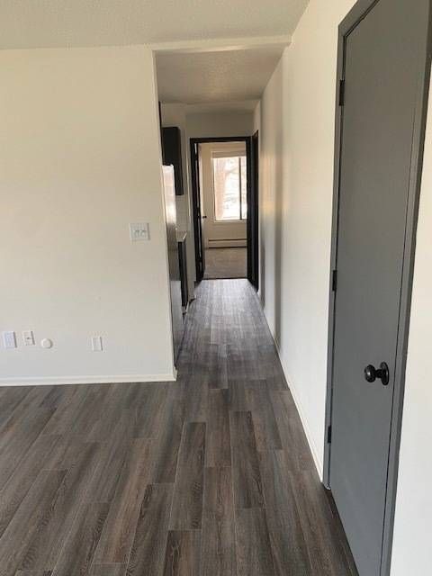 Hallway inside a modern apartment unit with gray doors and wood-look flooring.