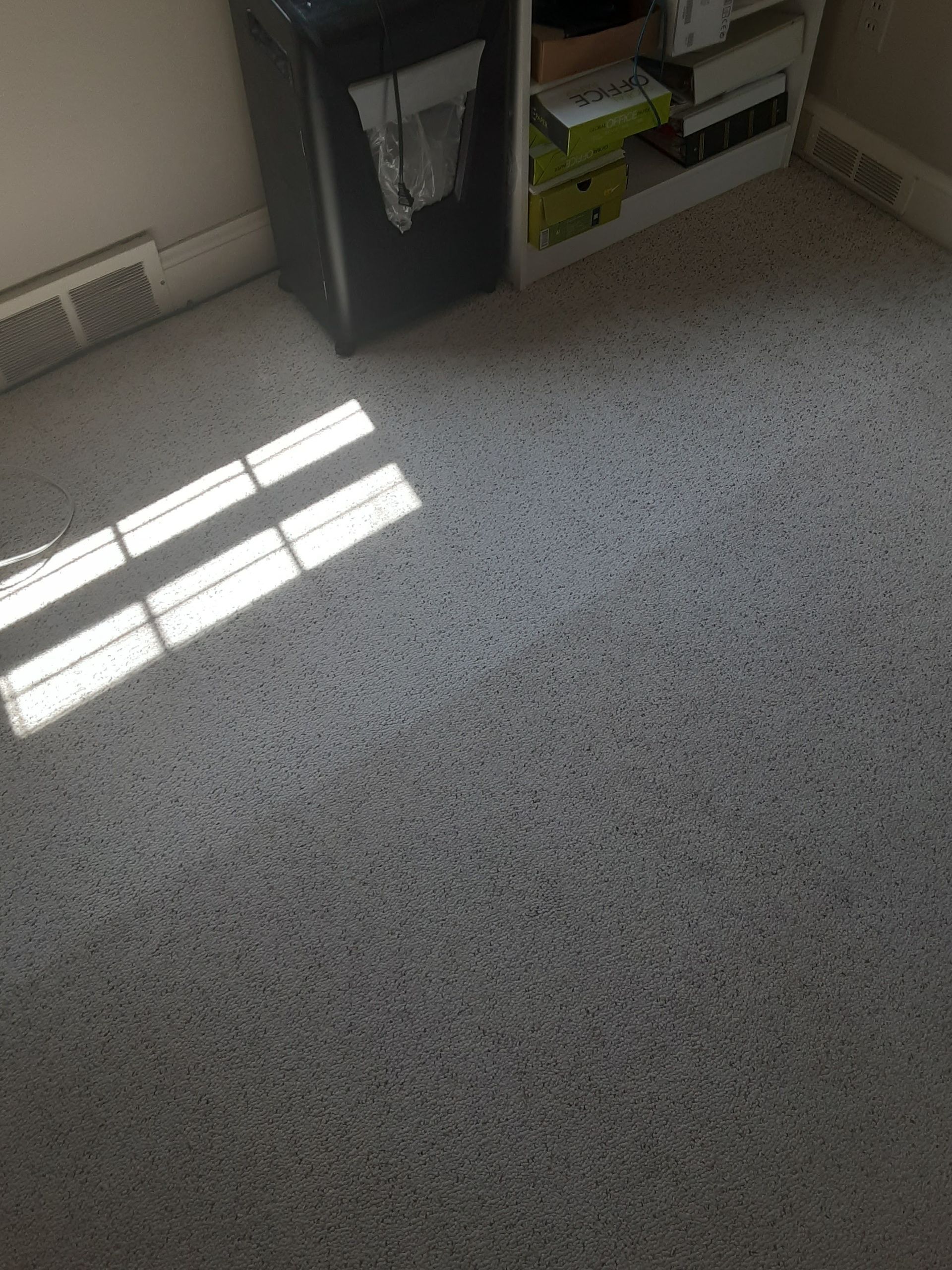 Gray carpeted room with sunlight, a black cabinet, and a white shelf with items.