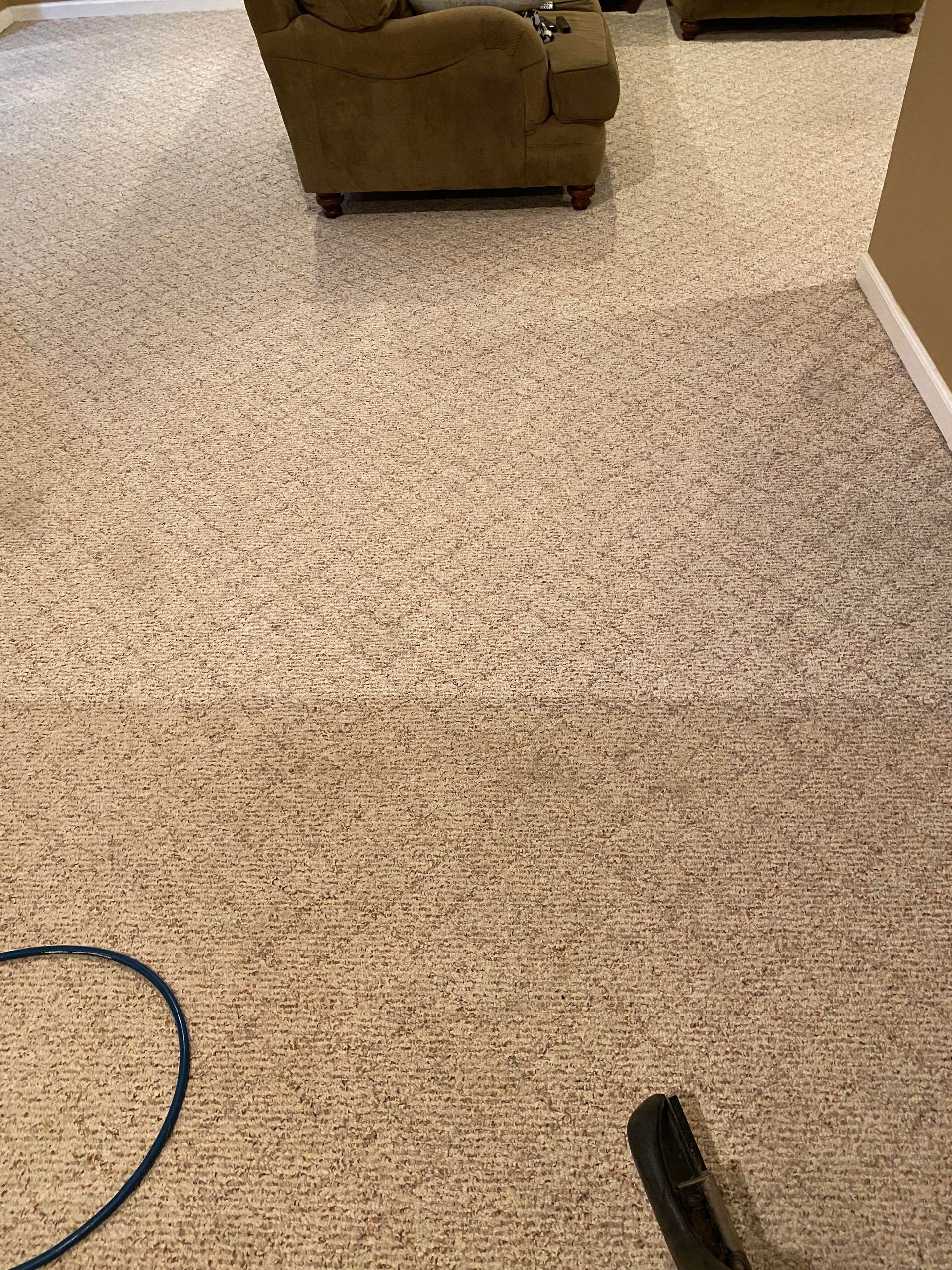 Carpet being cleaned with a vacuum cleaner, showing a visible difference in cleanliness. Beige carpet, brown furniture.