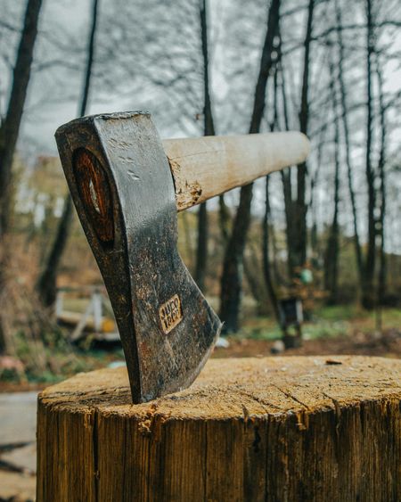 Axe embedded in a tree stump in a wet forest clearing