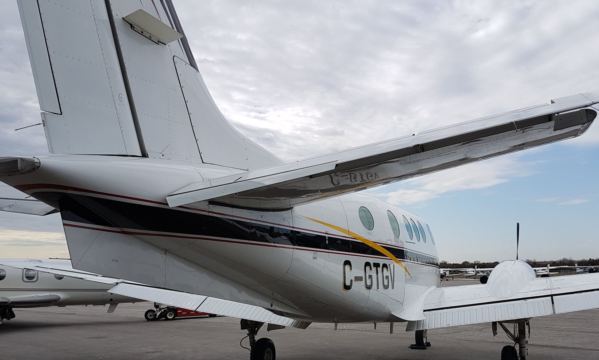 White airplane with black and gold stripes, tail fin, and wings on tarmac, C-GTGZ.