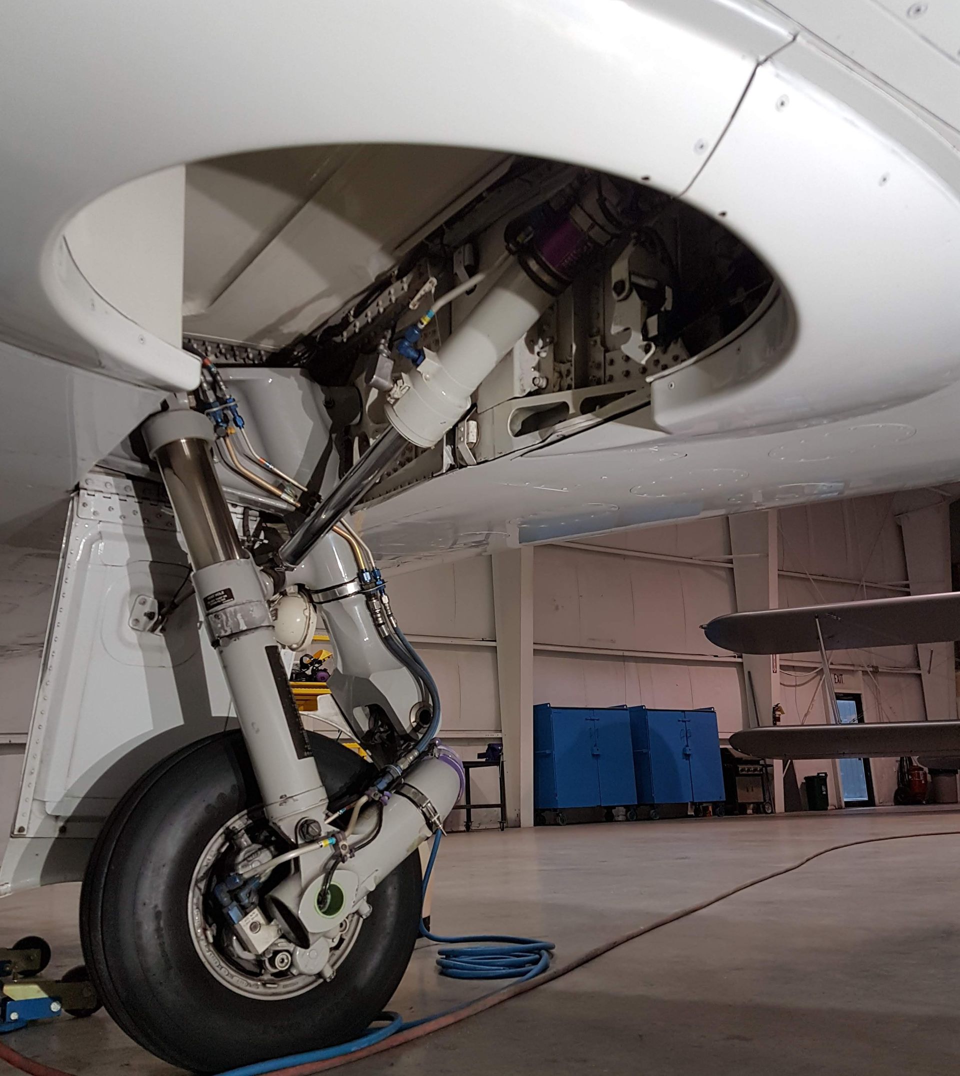 Aircraft nose landing gear, white and silver, inside a hangar. Tire, struts, and hydraulic lines visible.