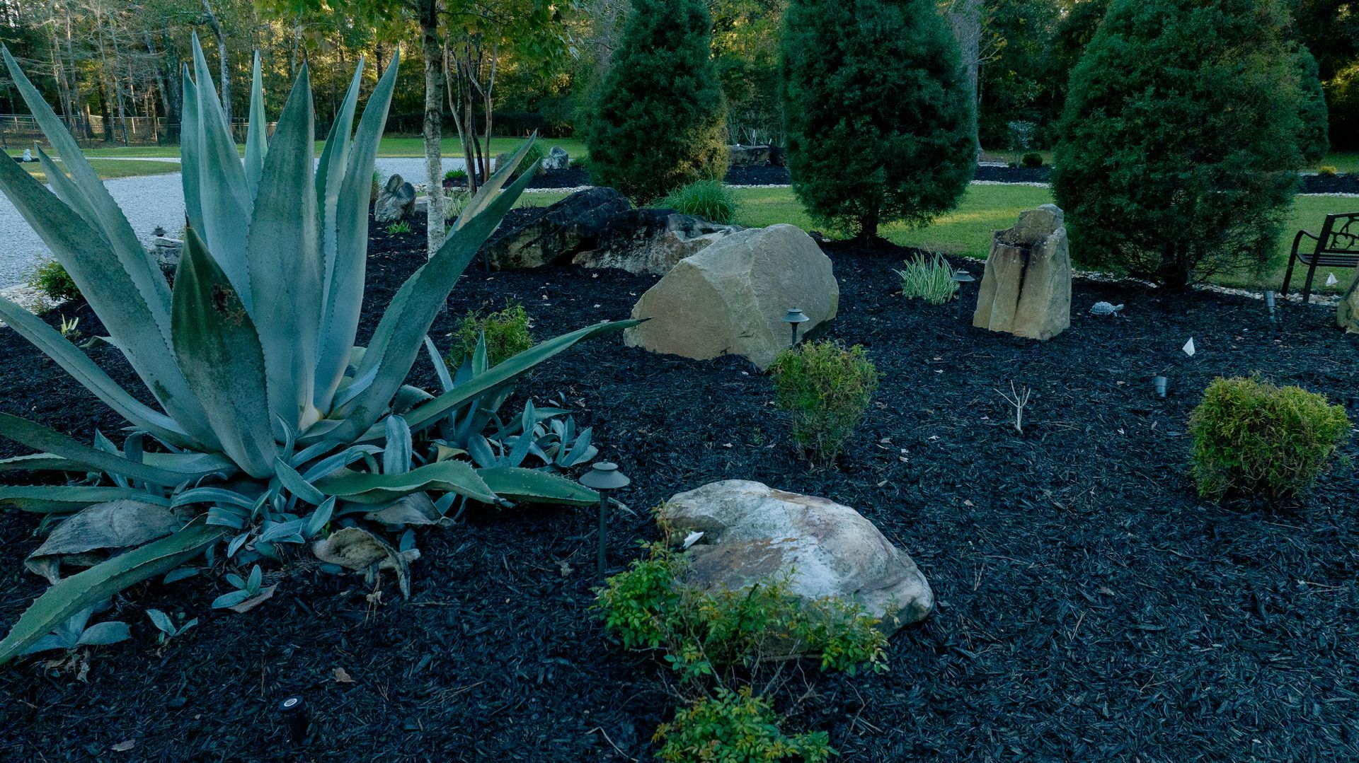 Xeriscape garden with agave, rocks, and dark mulch in a landscaped yard