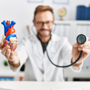A person wearing a white lab coat holds a model of a human heart in one hand and a stethoscope in the other in an office.