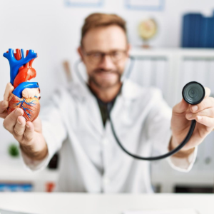 A person wearing a white lab coat holds a model of a human heart in one hand and a stethoscope in the other in an office.