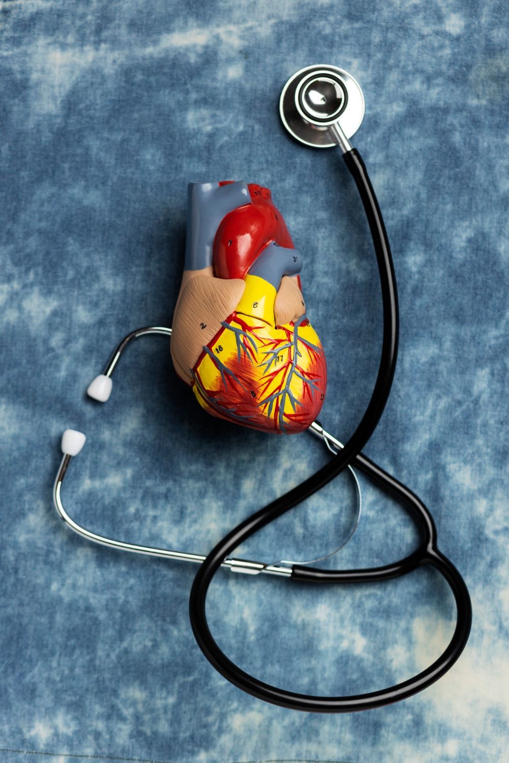 A model of a human heart rests on a blue, textured background next to a black medical stethoscope.