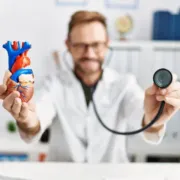 A person wearing a white lab coat holds a model of a human heart in one hand and a stethoscope in the other in an office.