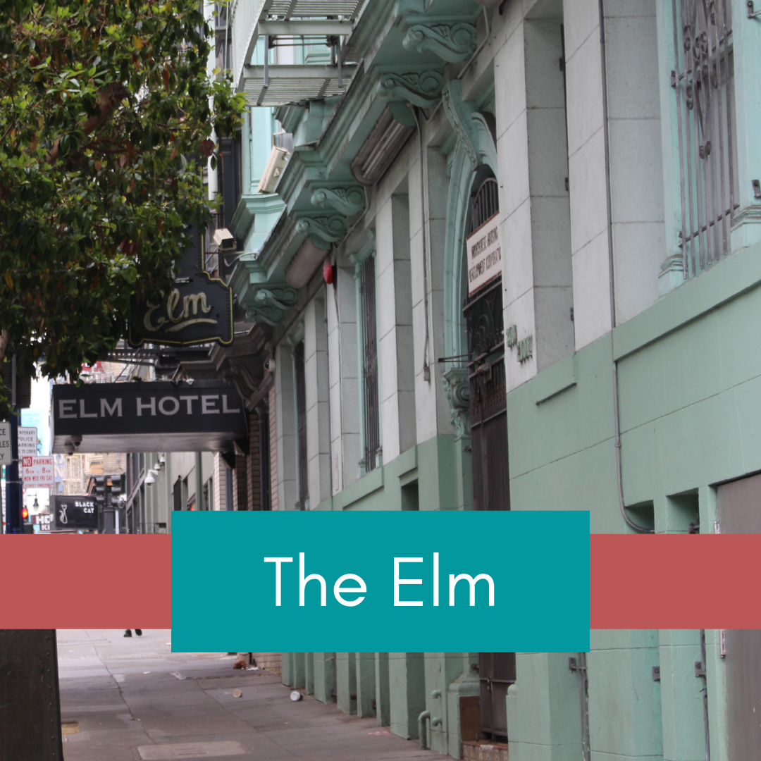 The Elm The Elm