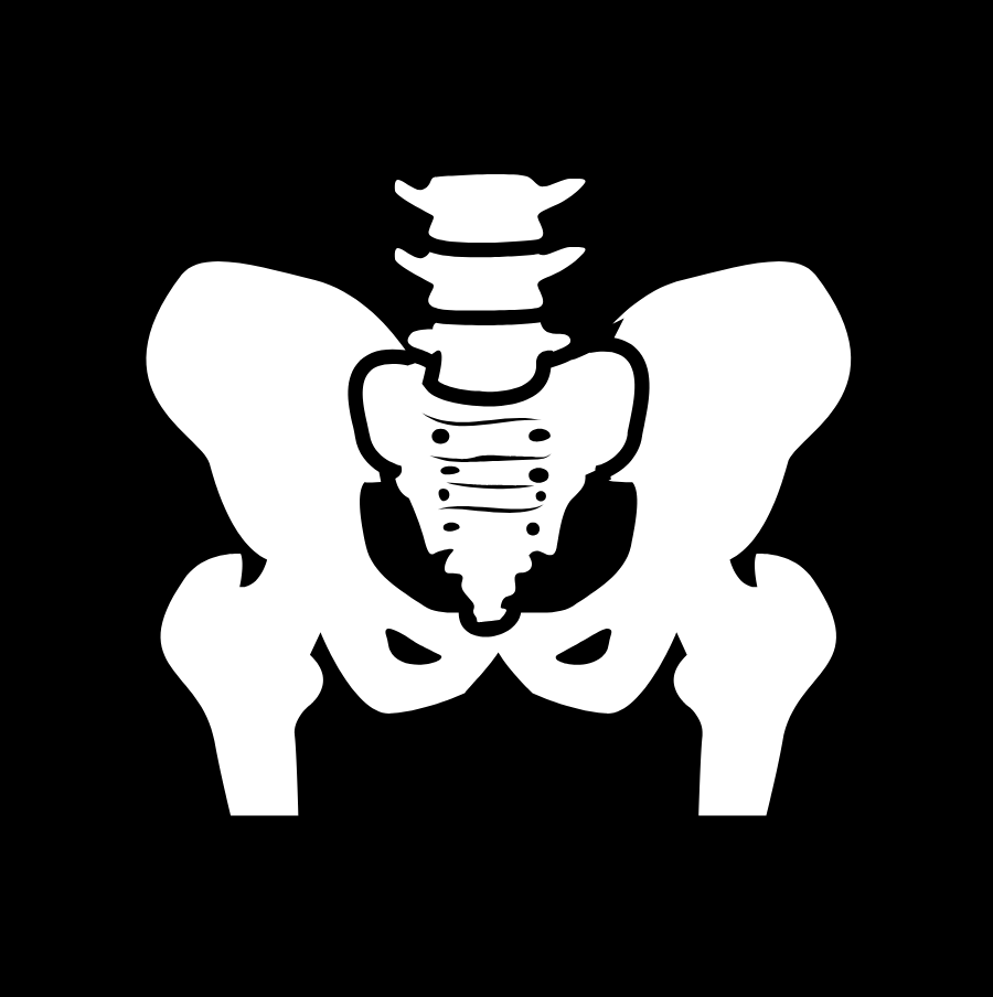 PELVIS