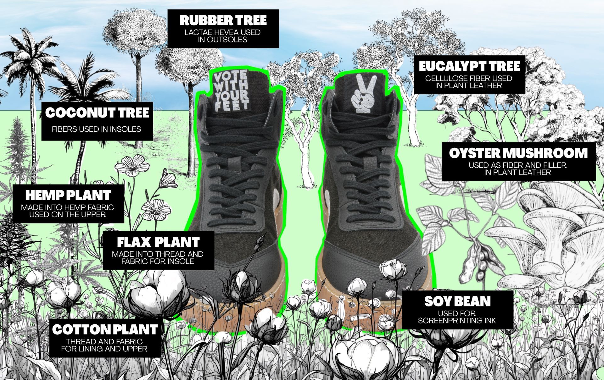 Nooch | duurzame sneakers  | Groene Dromers