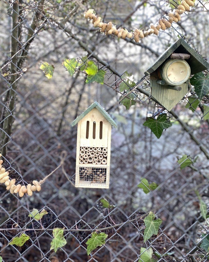 Noten ketting maken | Vogels voeren | Groene Dromers
