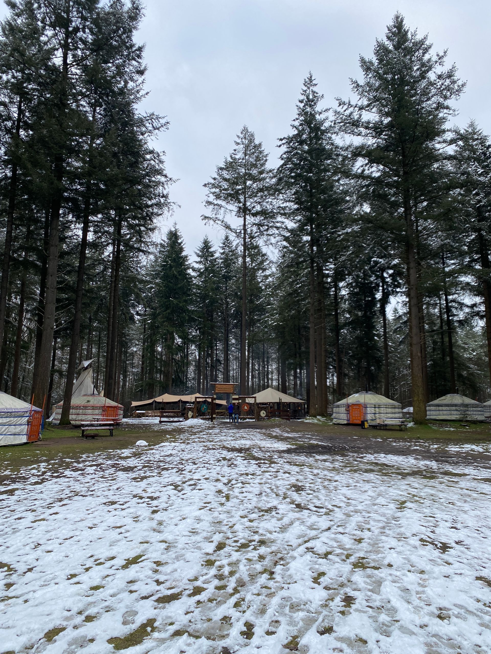 Winterwoods | Yurt | Groene Dromers