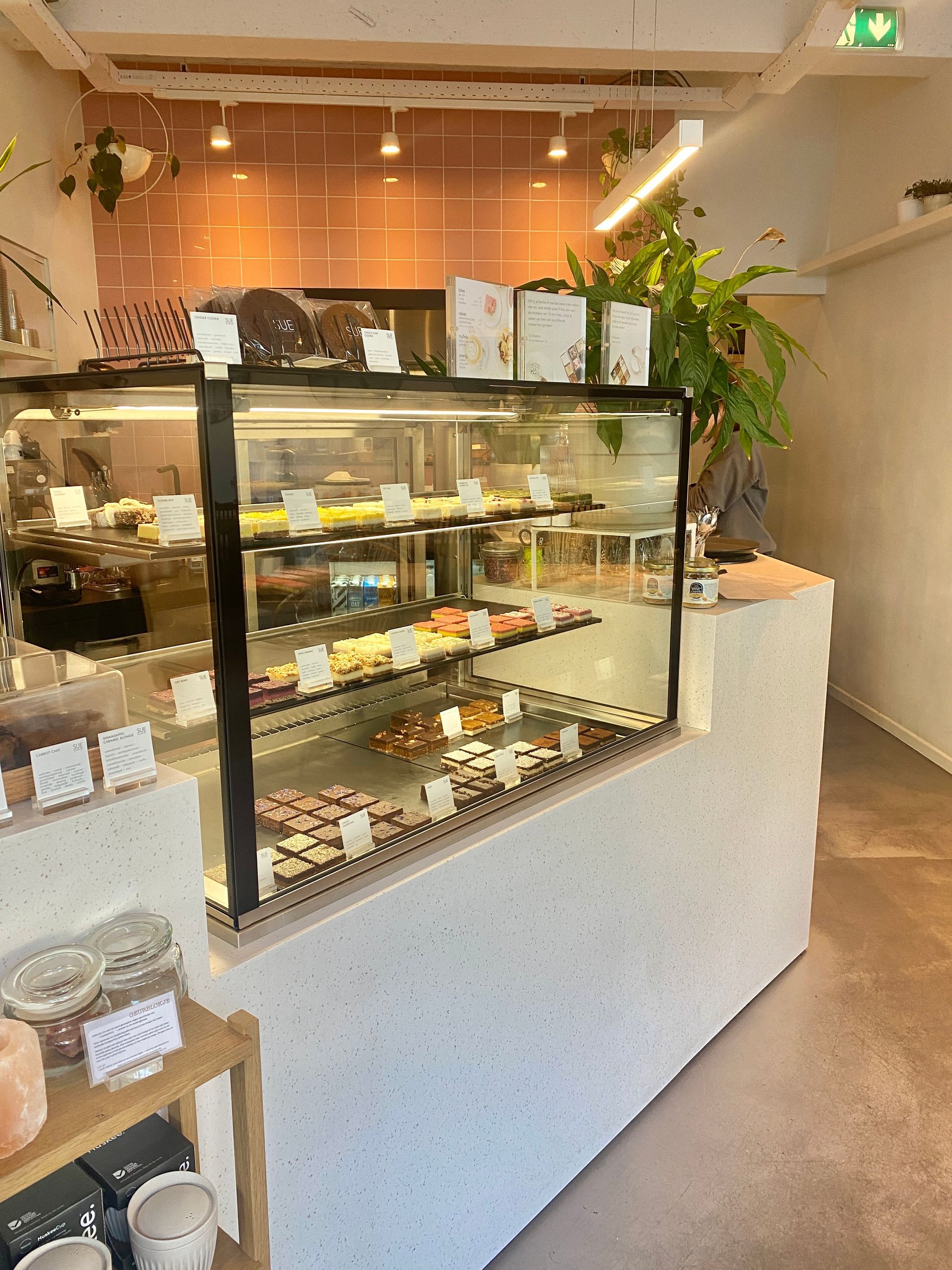 Sue food | Vegan hotspot Rotterdam | raw gebak