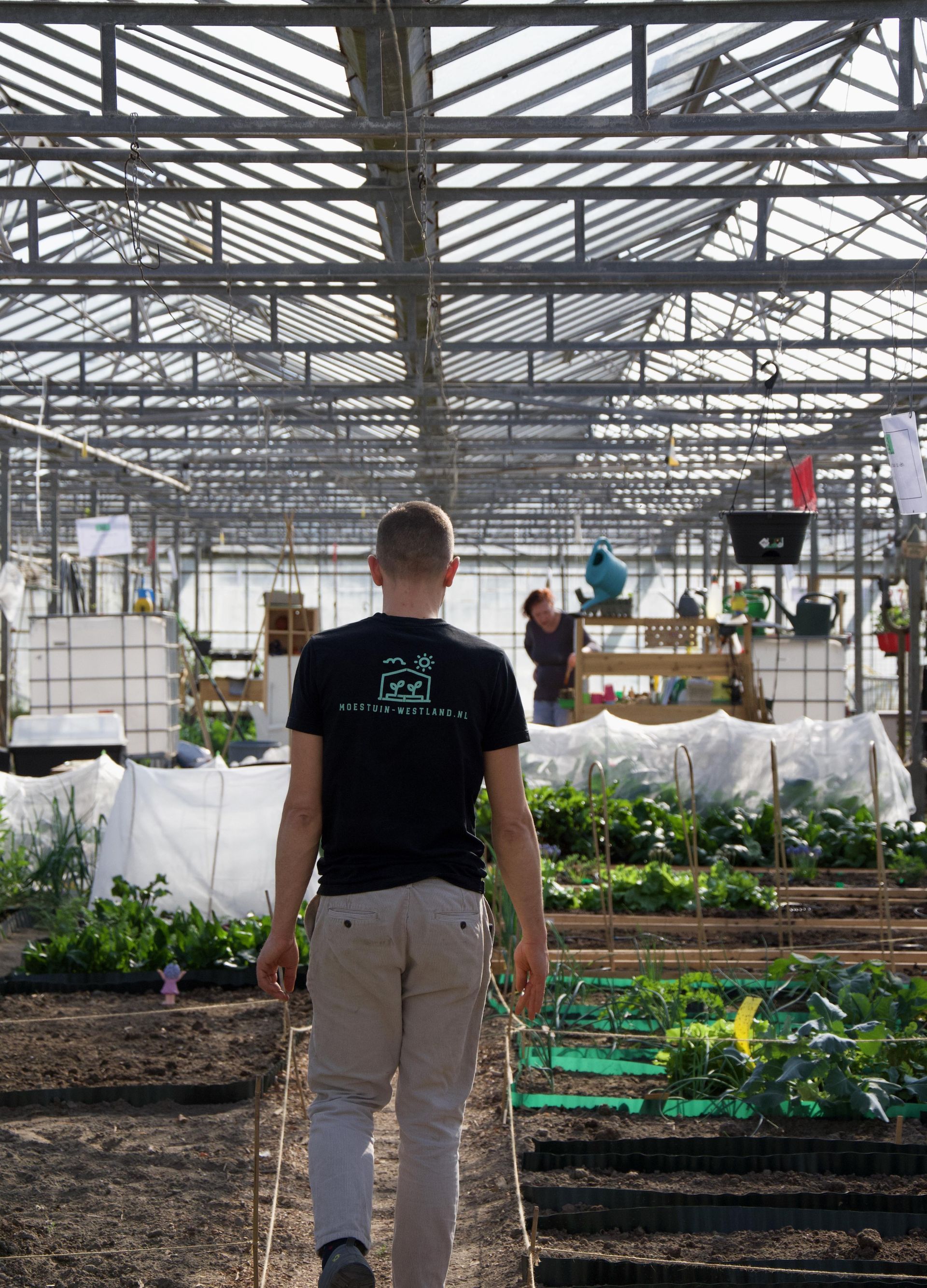 moestuin westland | groente en fruit | Groene Dromers